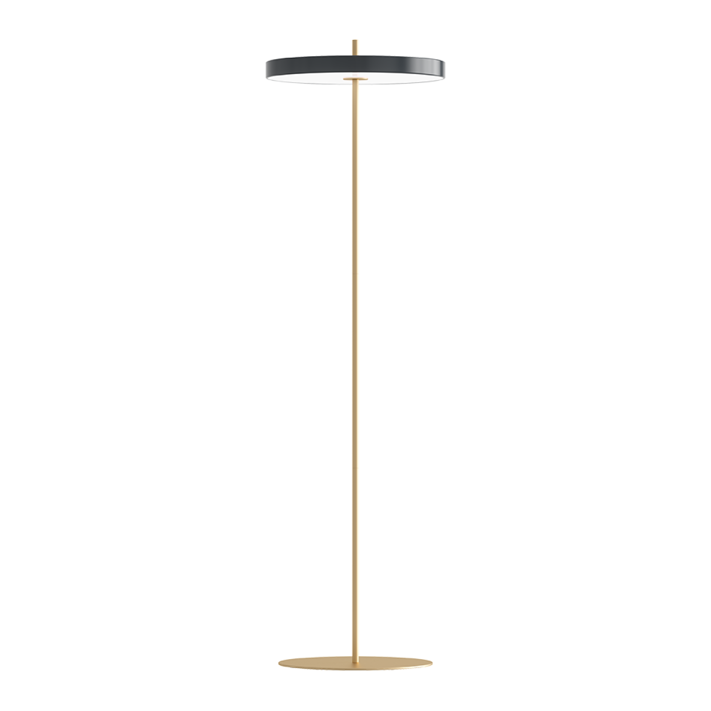 THE ASTERIA FLOOR LAMP